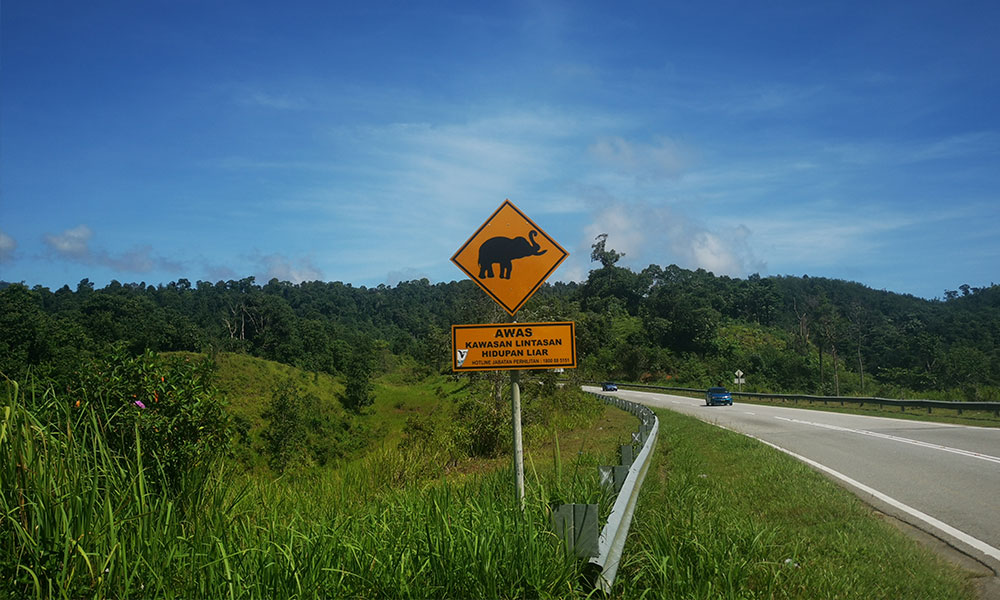 M'sia's biodiversity loss would slash global credit ratings, report warns