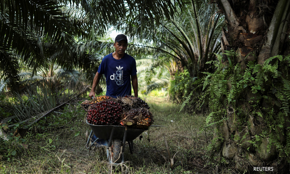 M'sian firms turn down orders as migrant labour shortage hits