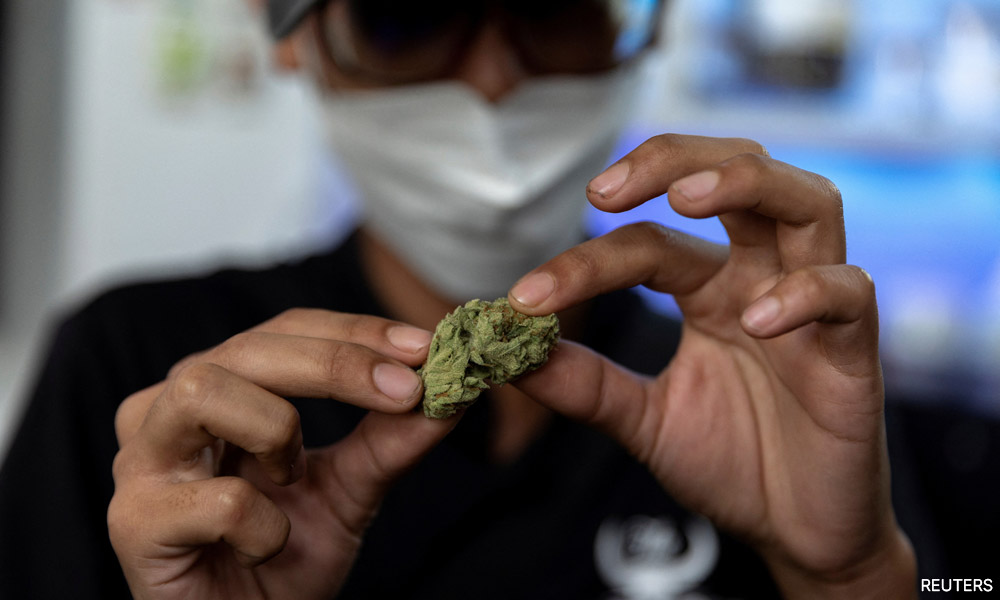 UN report: Cannabis use has risen with legalisation and Covid-19 lockdowns