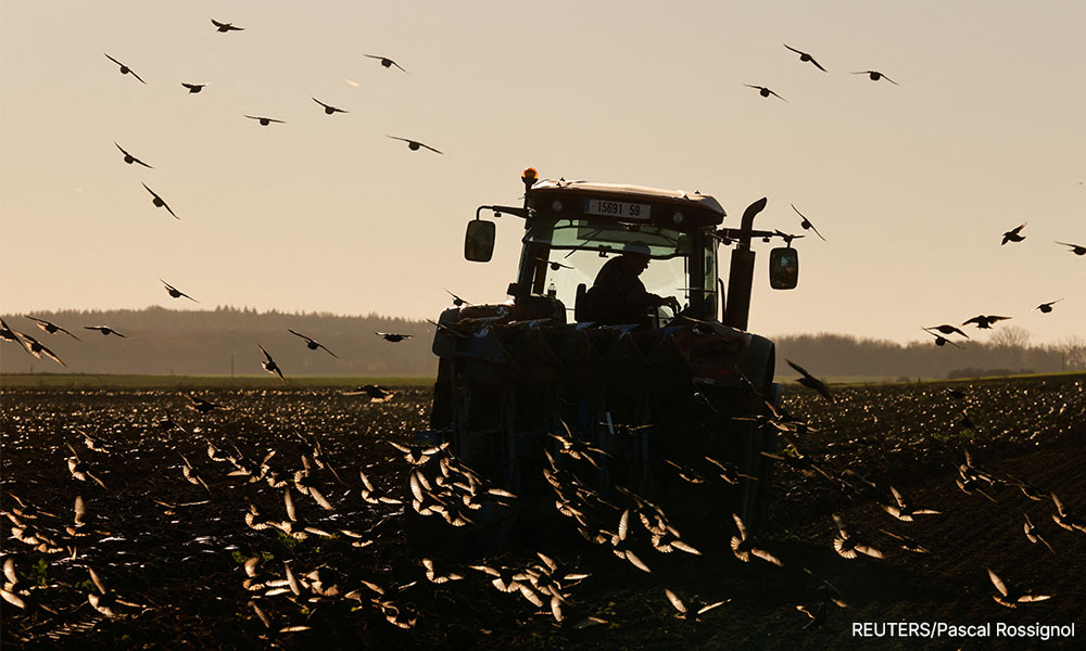 EU seeks to halve use of pesticides, heal nature with landmark laws