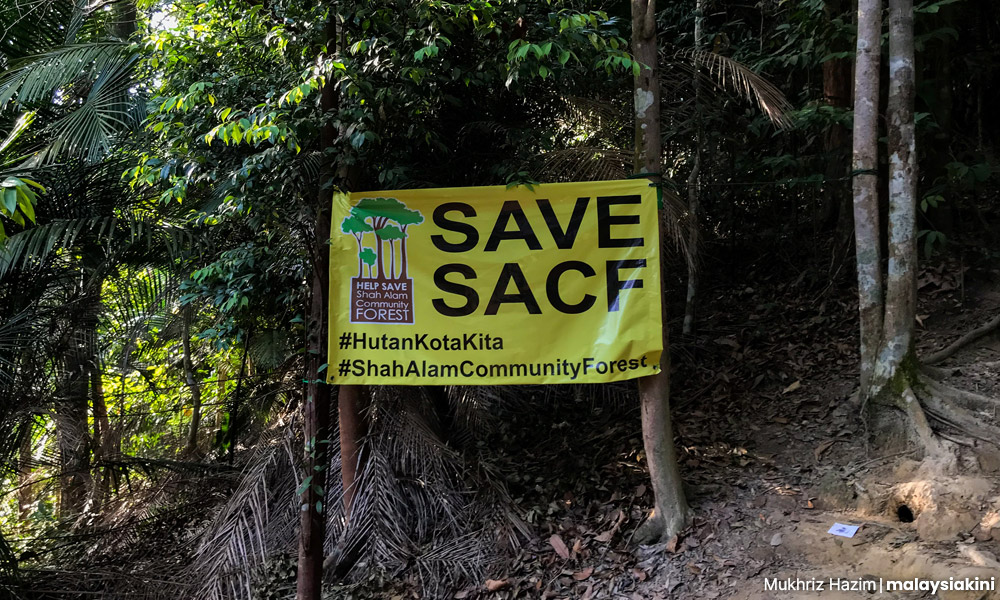 COMMENT | Compromise solution between greed, conservation