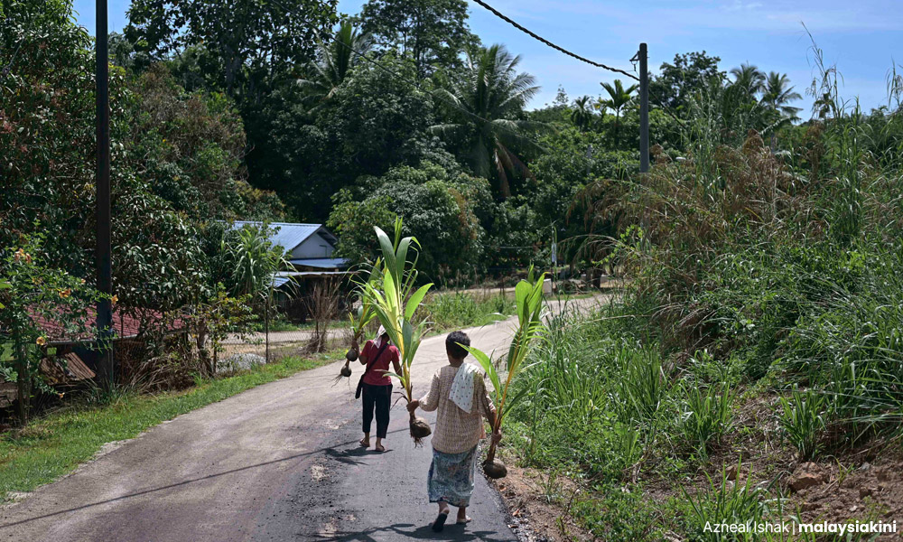 PHOTO ESSAY | The long road to rehabilitating Tasik Chini