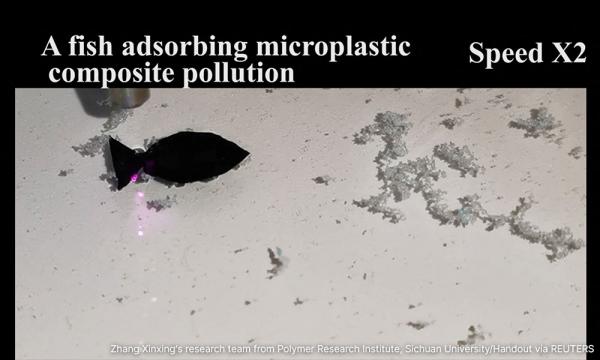 Microplaster Robot Chinese scientists develop robot fish that gobble up microplastics