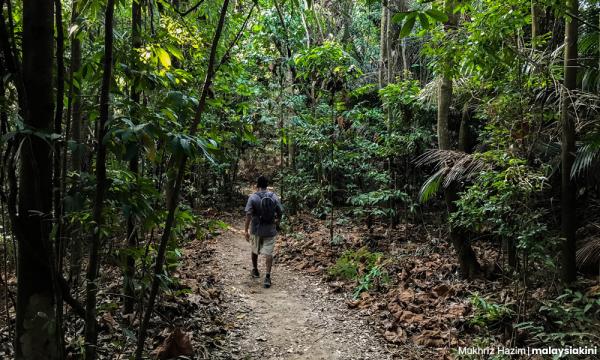 Panik berdepan situasi cemas faktor utama sesat, hilang dalam hutan