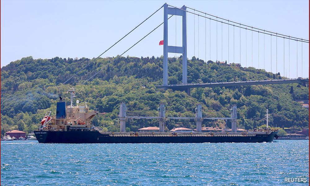 Kyiv asks Turkey to probe 3 Russian ships it claims moved stolen grain