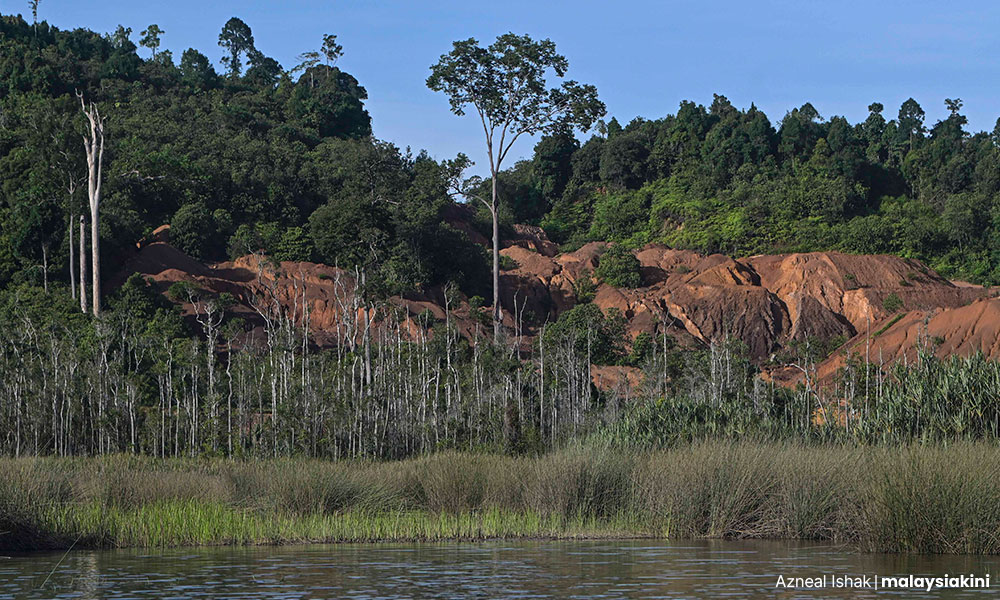 'Govt's forestry practice goes against international promises'