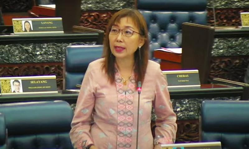 Isu sekolah Cina: MP Seputeh kecam Teo sebar 'ucapan kebencian kaum'