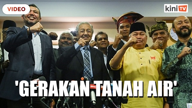 Dr Mahathir umum gerakan politik baru, Gerakan Tanah Air
