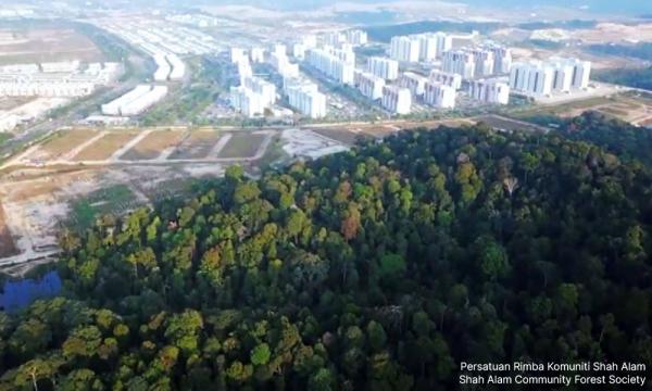 Apex court dismisses NGOs' appeal over Bukit Cherakah degazettement