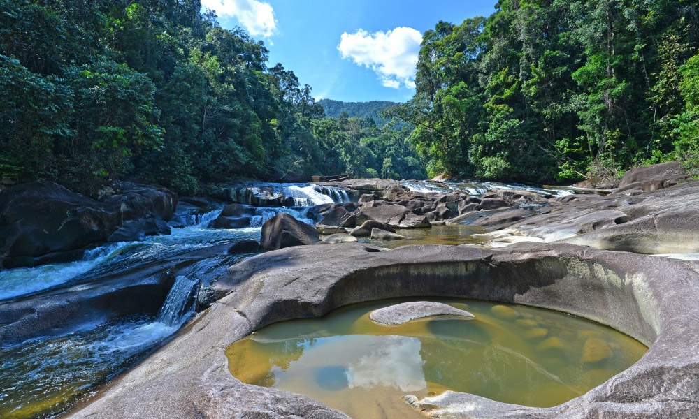 Endau Rompin National Park recognised as Asean heritage park