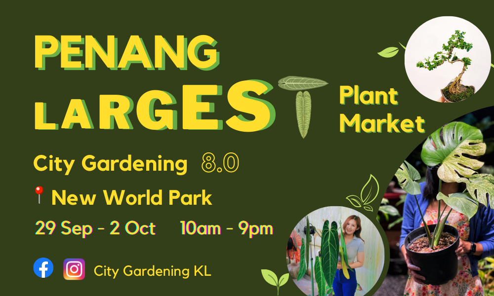 Gardening fans, let's gather at New World Park, Penang. The largest