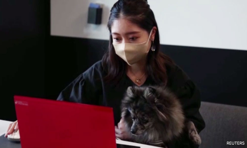 Salaryman's best friend: Japan office lets in dogs in post-Covid work shift