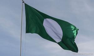 No natural long-term ally for PAS, analyst says