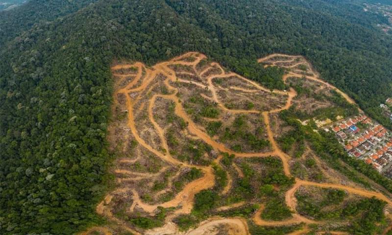 “先有农地再有住宅”,居銮南峇山腰地主喊冤