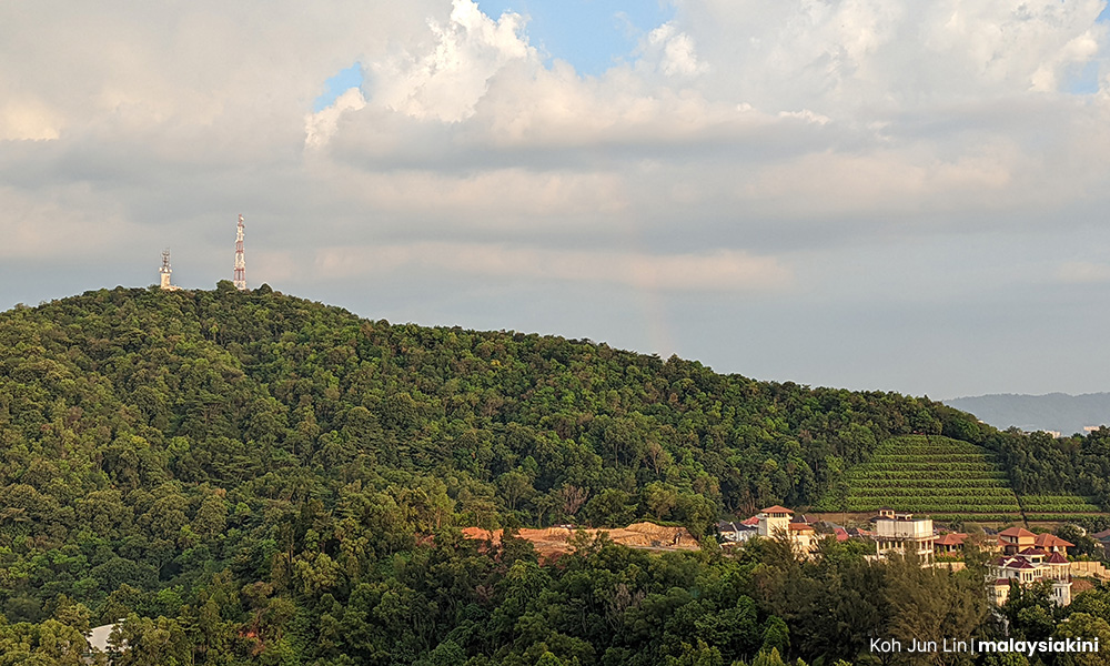 Bkt Dinding, Bkt TM Wangsa Maju suggested for forest reserve gazettement