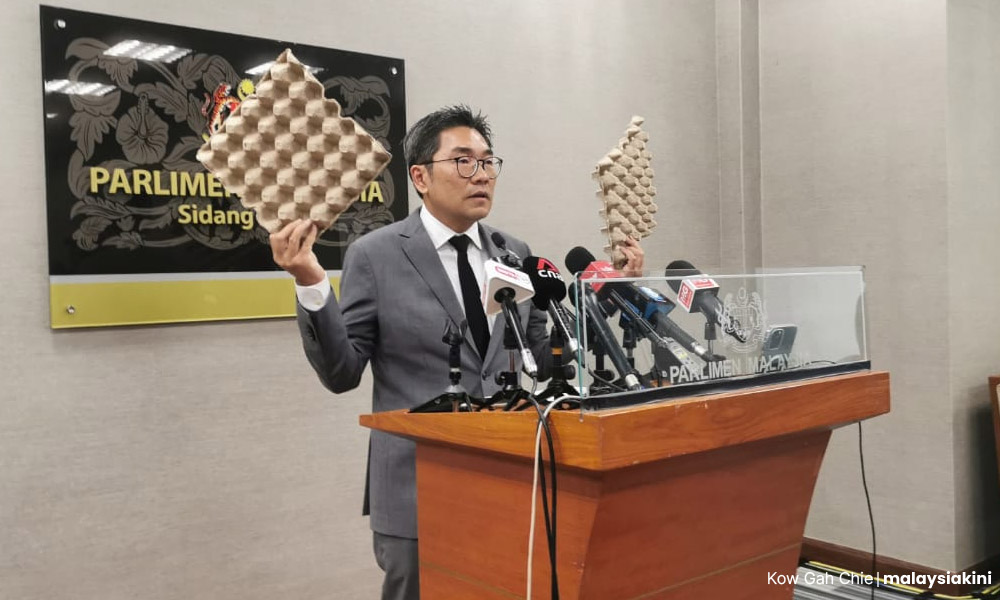 Inflation task force told to hatch plan on egg supply