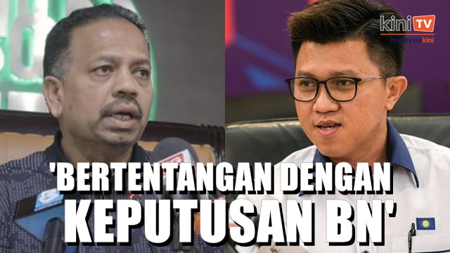 MCA, MIC sahkan Zahid hantar surat sokong Anwar kepada Agong