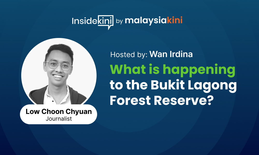 PODCAST | What is happening to the Bukit Lagong Forest Reserve?