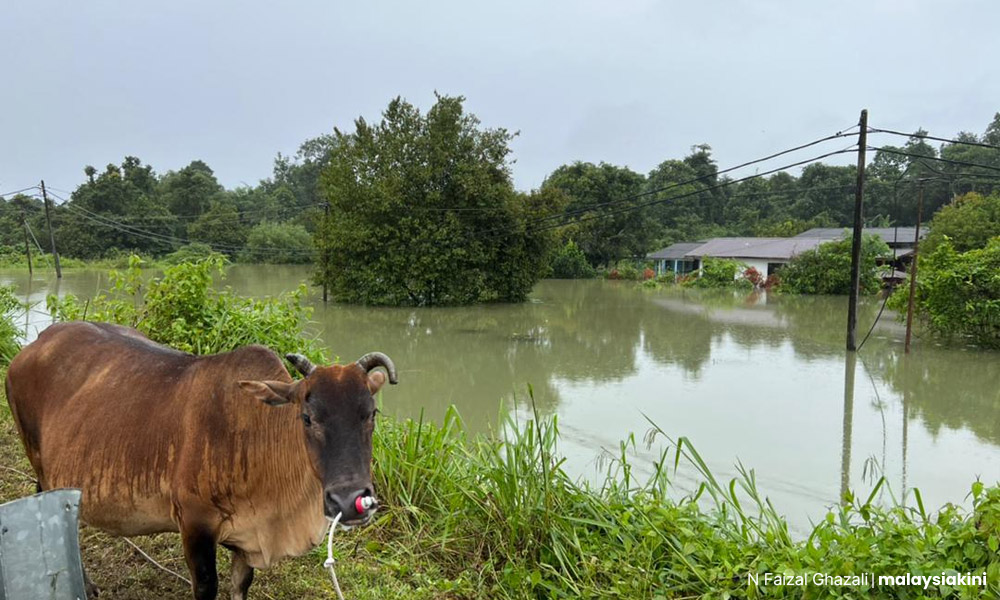 Sektor pertanian, agromakanan rugi RM111.95 juta akibat banjir