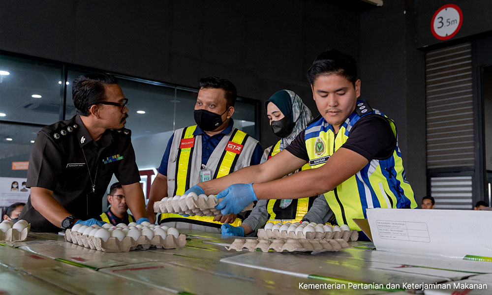 ULASAN | Memang wajar k'jaan terus benarkan telur diimport
