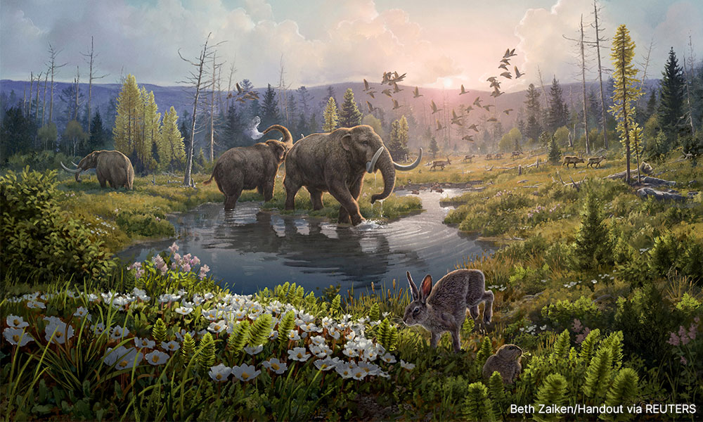 Oldest recorded DNA - 2m years - reveals Greenland's lost world