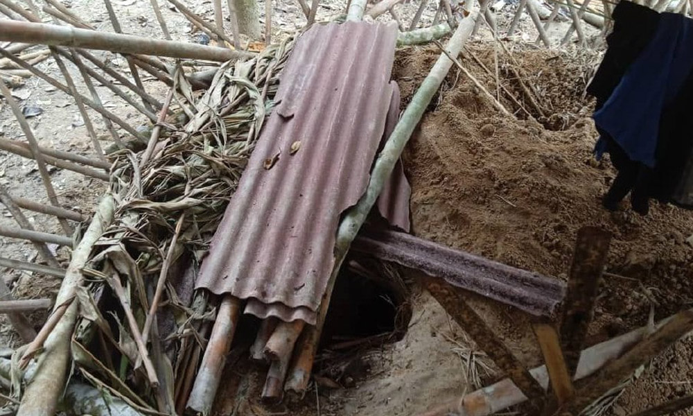 Wild bear digs up Orang Asli grave, eats part of corpse