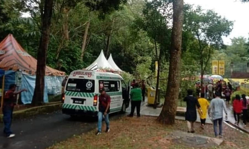 Three injured after tree falls in Malacca Zoo