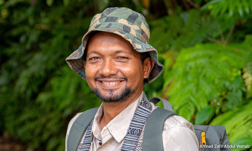 Expert moots public education after fatal human-elephant conflicts
