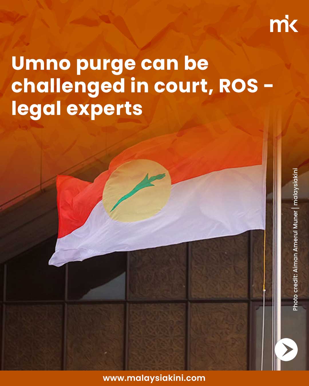 Umno purge can be challenged in court, ROS - legal experts