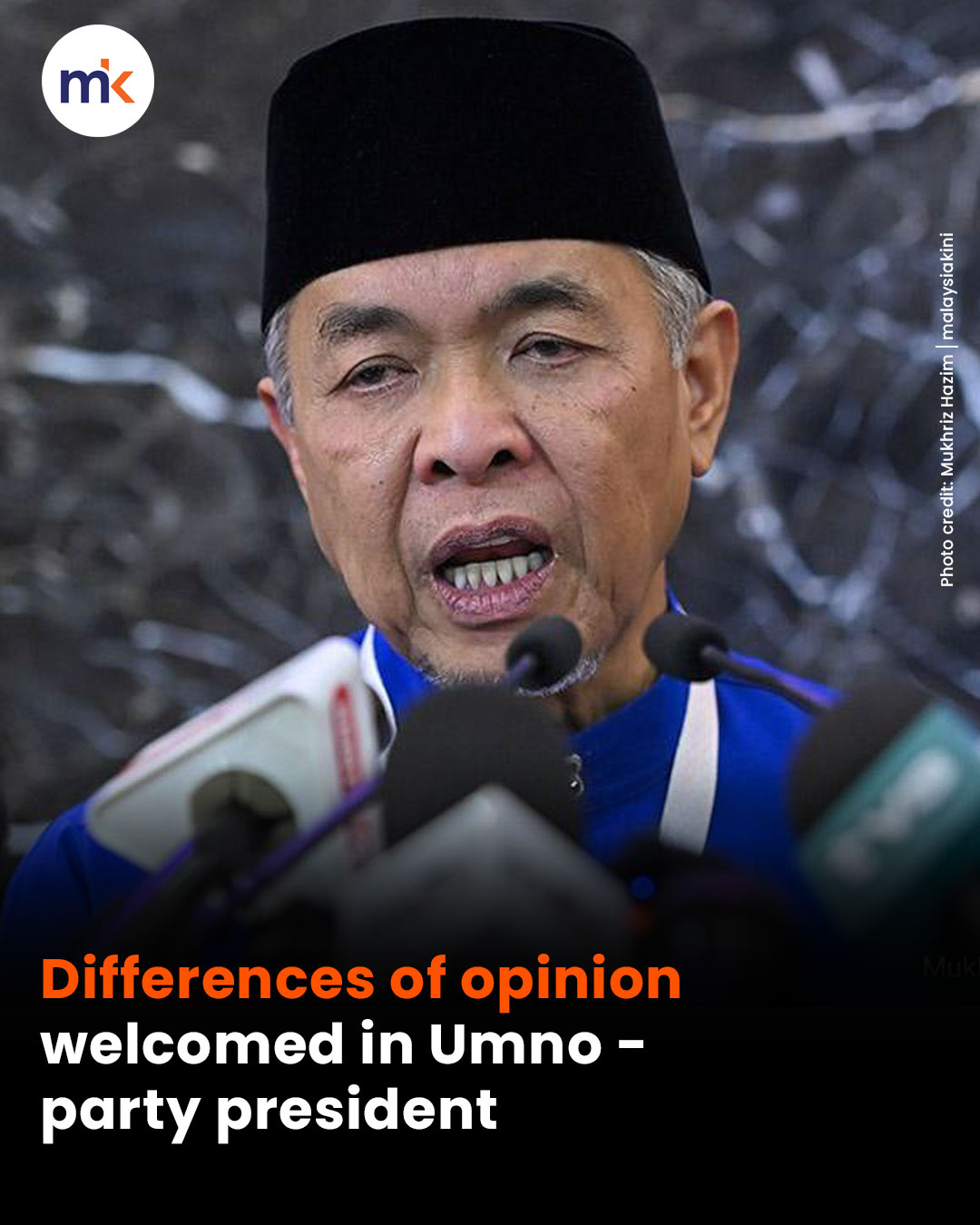 Differences of opinion welcomed in Umno - party president