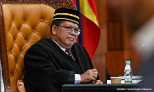 Monkey business in Dewan Rakyat, MP moots mental health check