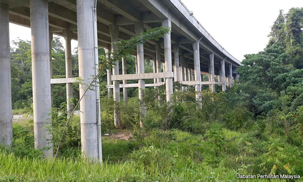 An expressway is raised to allow wildlife to cross under.