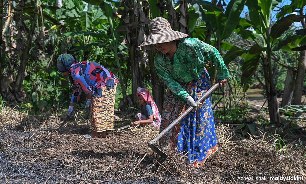 Pos Piah villagers farming.
