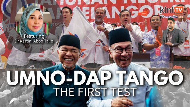 From rivals to sharing power: Will the Umno-DAP tango survive its first test?