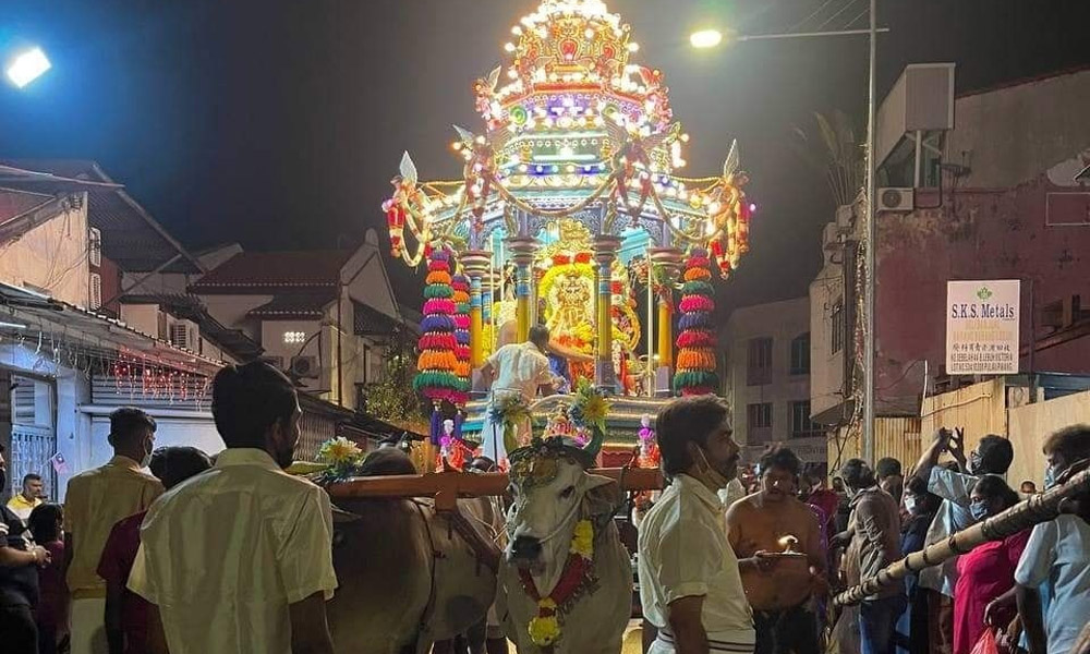 LETTER | Consider motorised vehicles to pull chariots