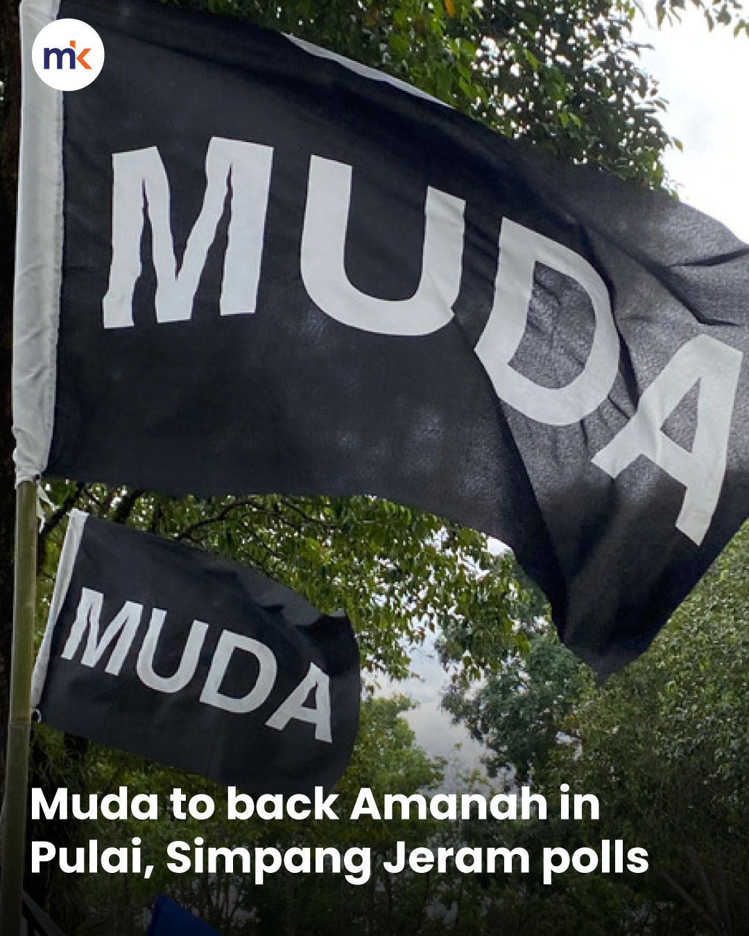 Muda to back Amanah in Pulai, Simpang Jeram polls