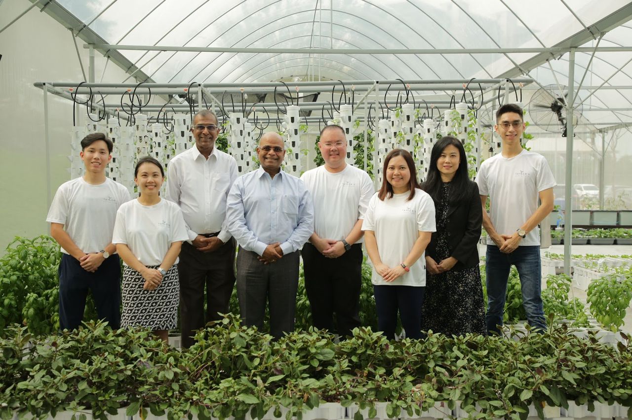 Taylor's Urban Farm fosters sustainability in food security through innovative planting systems