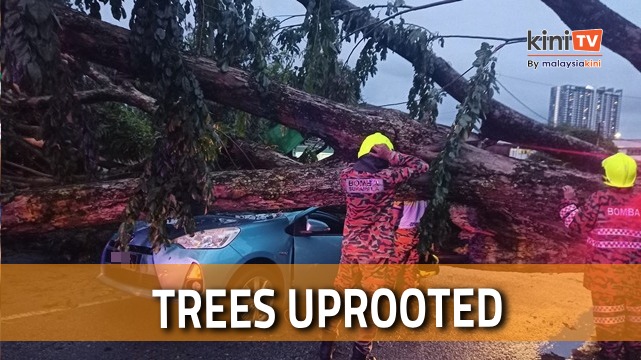 More than 40 vehicles damaged by uprooted trees during storm in KL