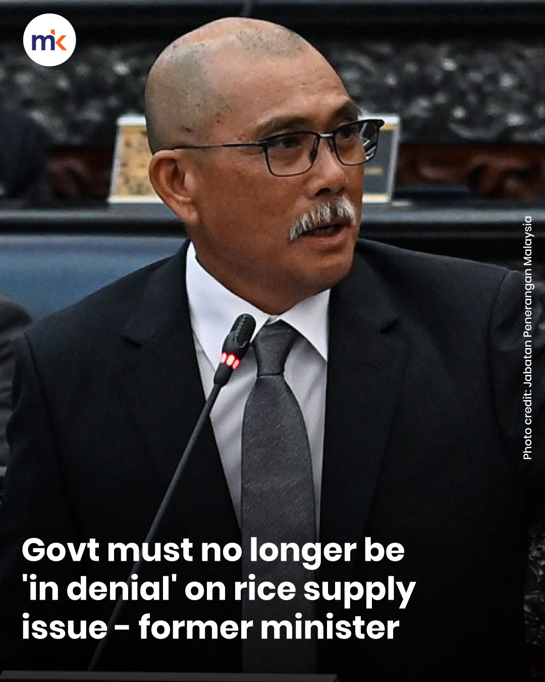 Govt must no longer be 'in denial' on rice supply issue - former minister