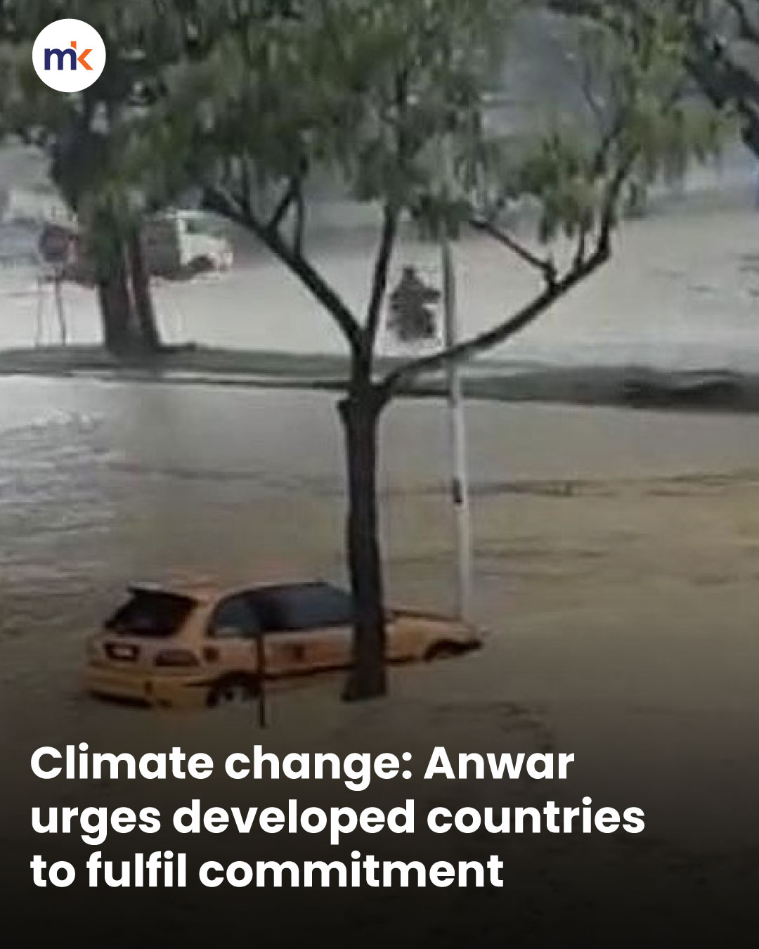 Climate change: Anwar urges developed countries to fulfil commitment