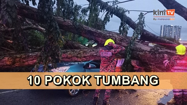 Hujan lebat di KL, lebih 40 kenderaan dihempap pokok tumbang