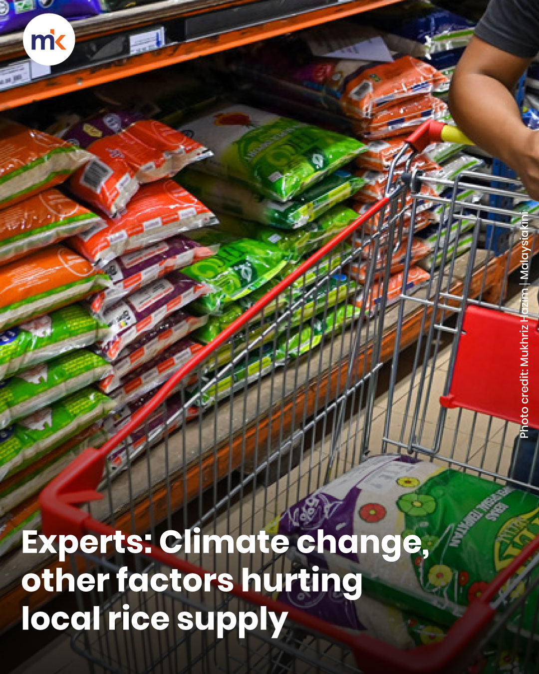 Experts: Climate change, other factors hurting local rice supply