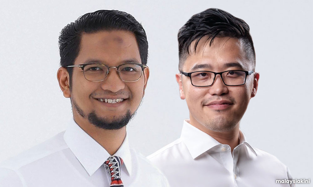 Syed Saddiq ticked off for 'lapdog' swipe at DAP