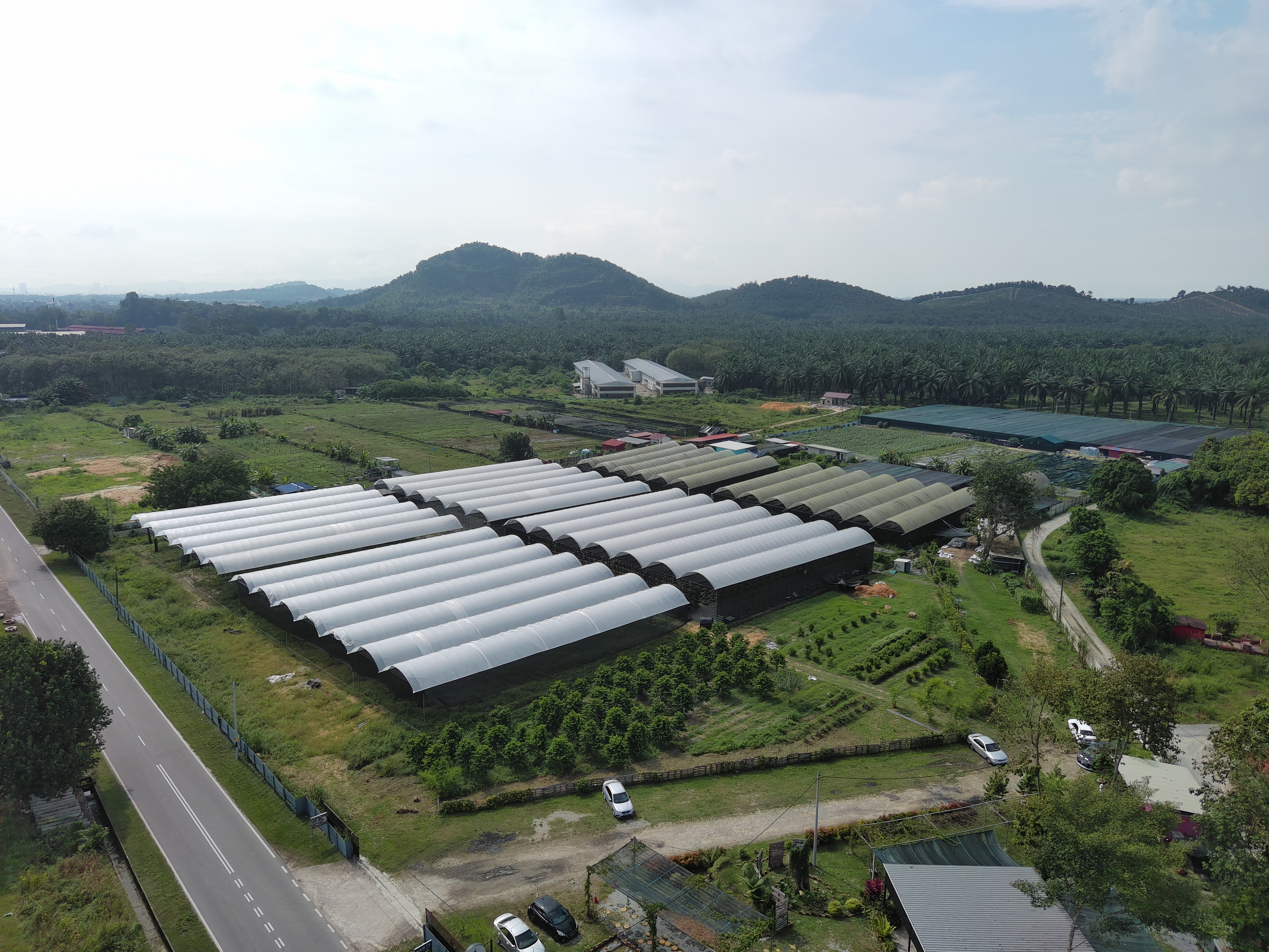 Welcome to Malaysia's 1st & Largest Vanilla Smart Farm! - Vimarsana News