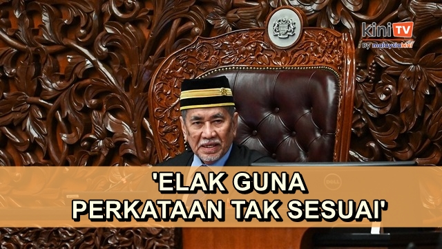 'Apa berlaku di Dewan Rakyat jadi cemuhan, jangan berlaku di Dewan Negara'