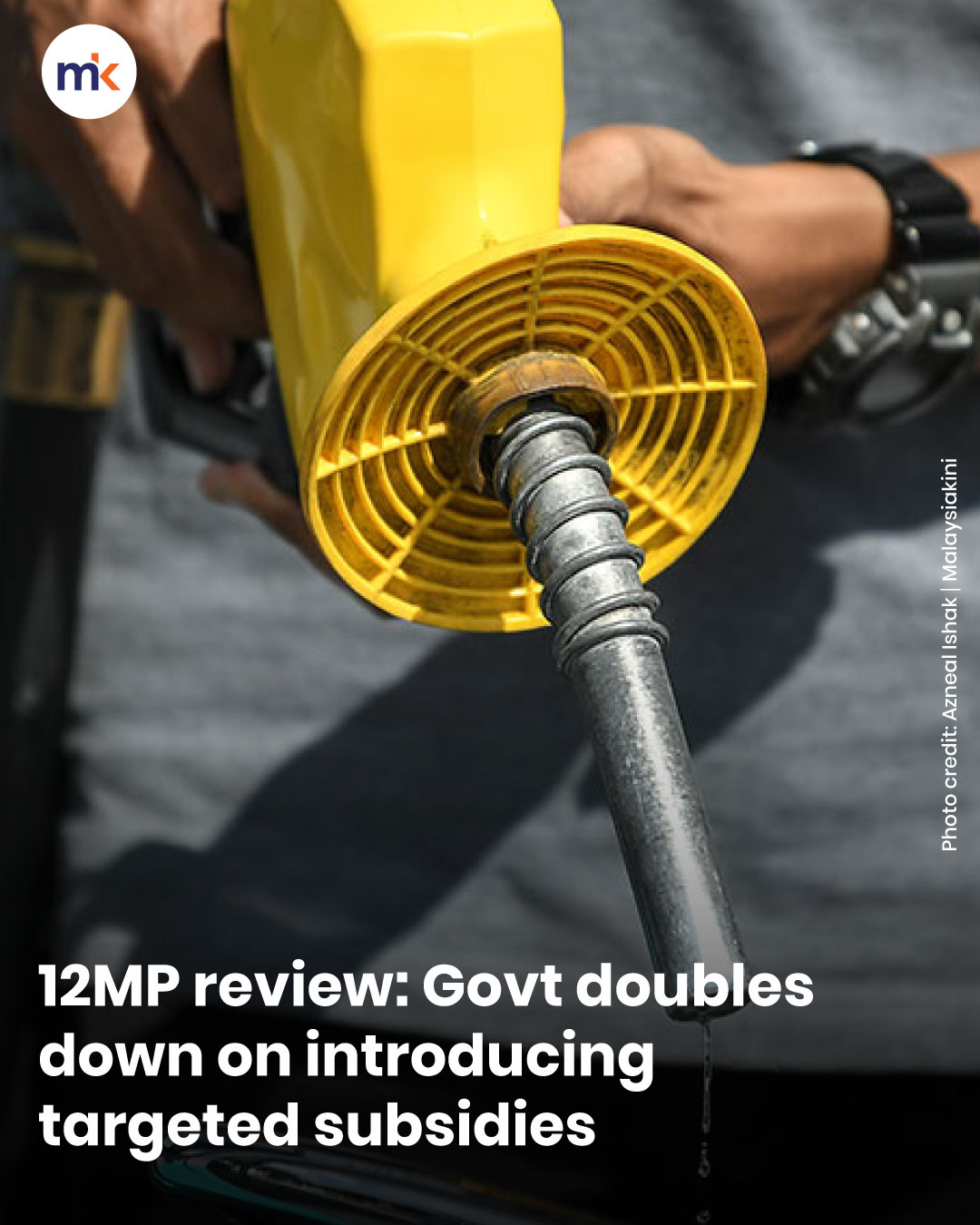 12MP review: Govt doubles down on introducing targeted subsidie