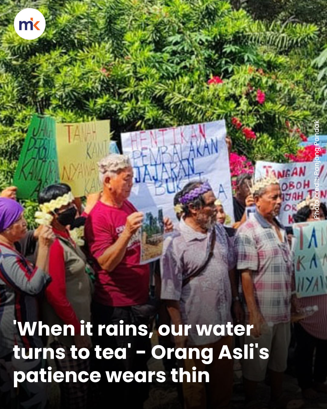 'When it rains, our water turns to tea' - Orang Asli's patience wears thin
