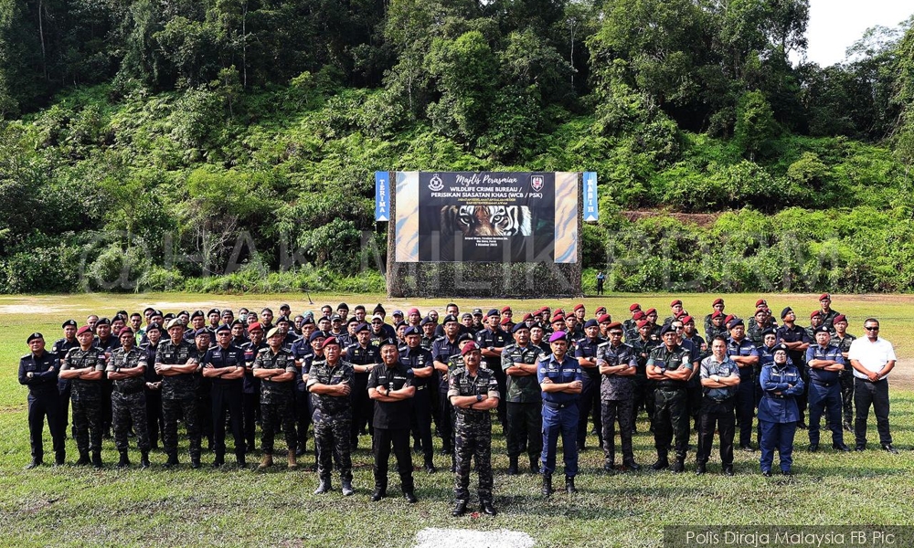 Operasi bendung jenayah hidupan liar: Nilai rampasan lebih RM40juta