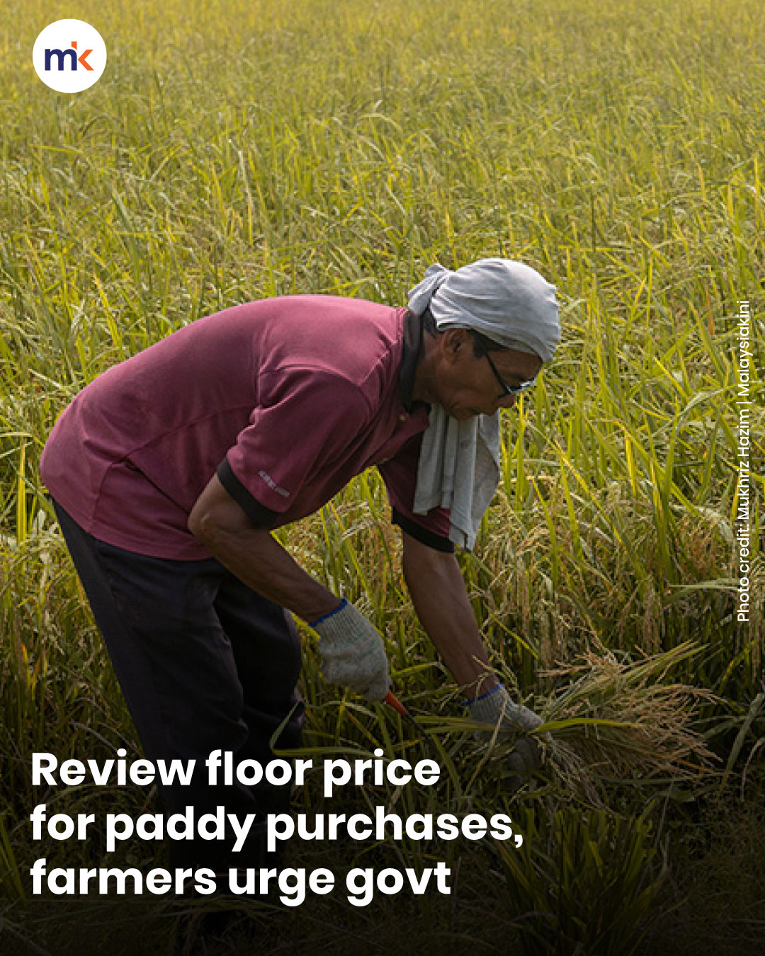 Review floor price for paddy purchases, farmers urge govt