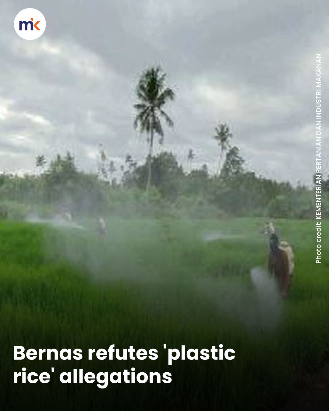 Bernas refutes 'plastic rice' allegations